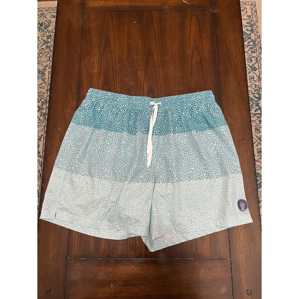 Chubbies Blue Color Block Swim Trunks Men's 2X